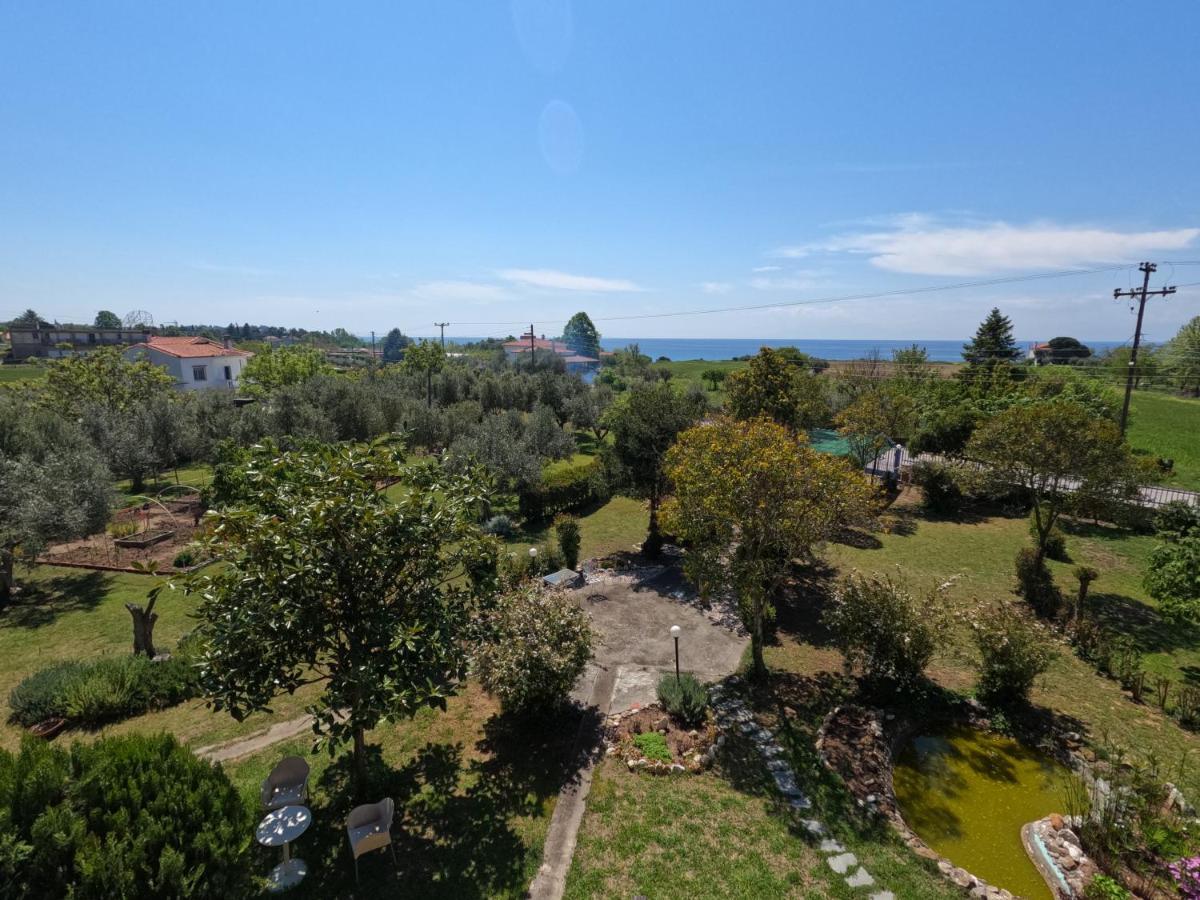 Pond And Pines, By Nice House By The Sea! 埃帕诺米 外观 照片