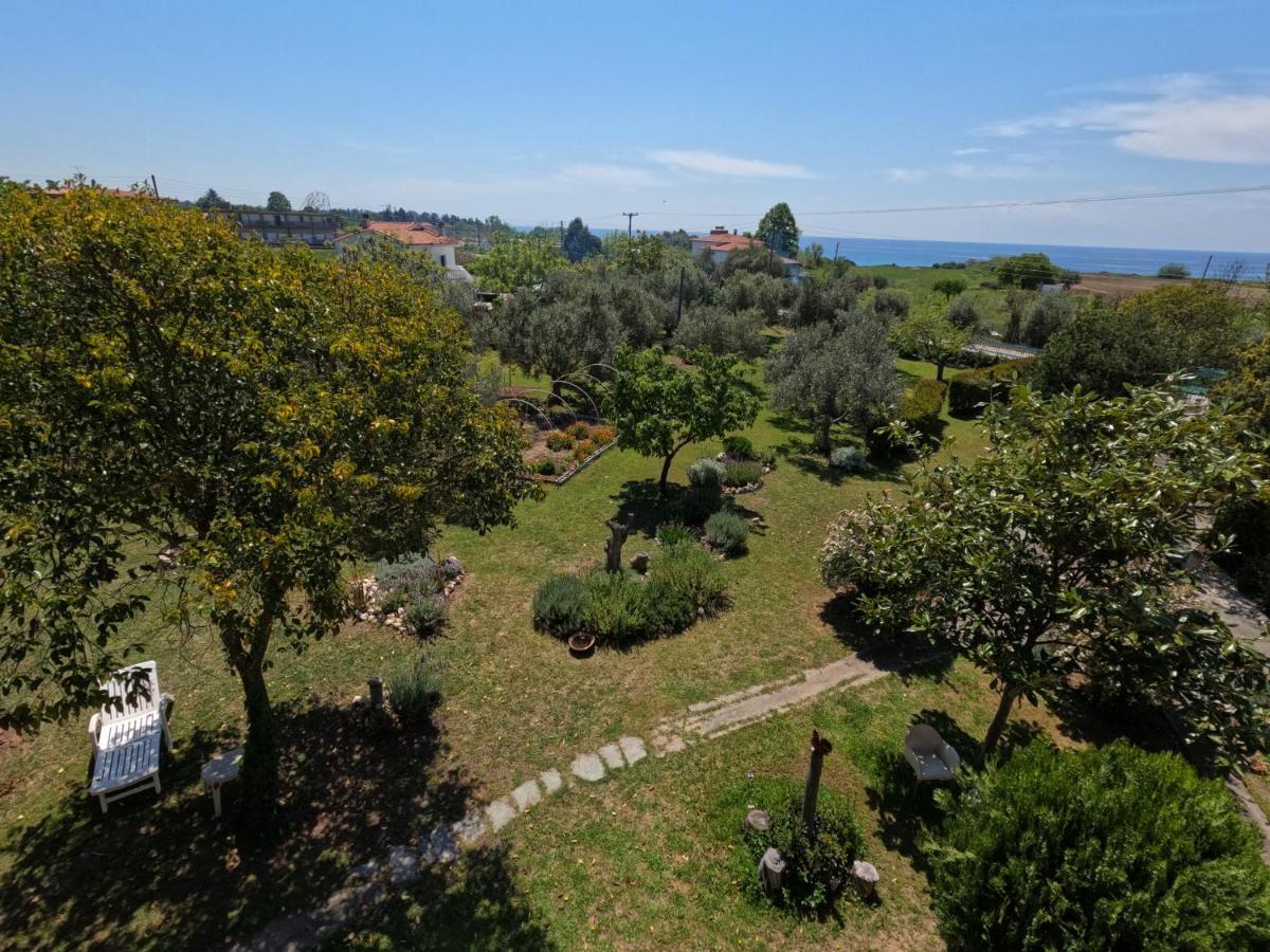Pond And Pines, By Nice House By The Sea! 埃帕诺米 外观 照片