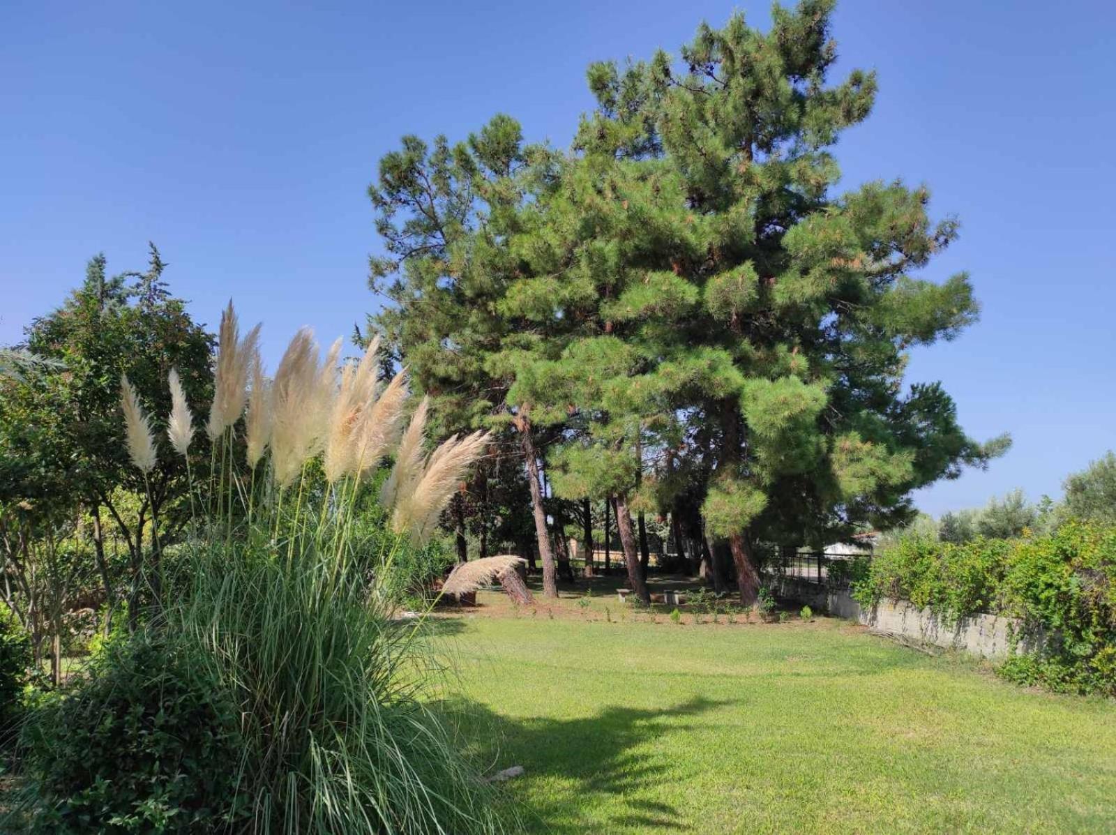 Pond And Pines, By Nice House By The Sea! 埃帕诺米 外观 照片